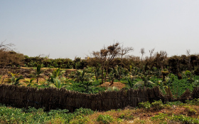 Senegal_aprile21